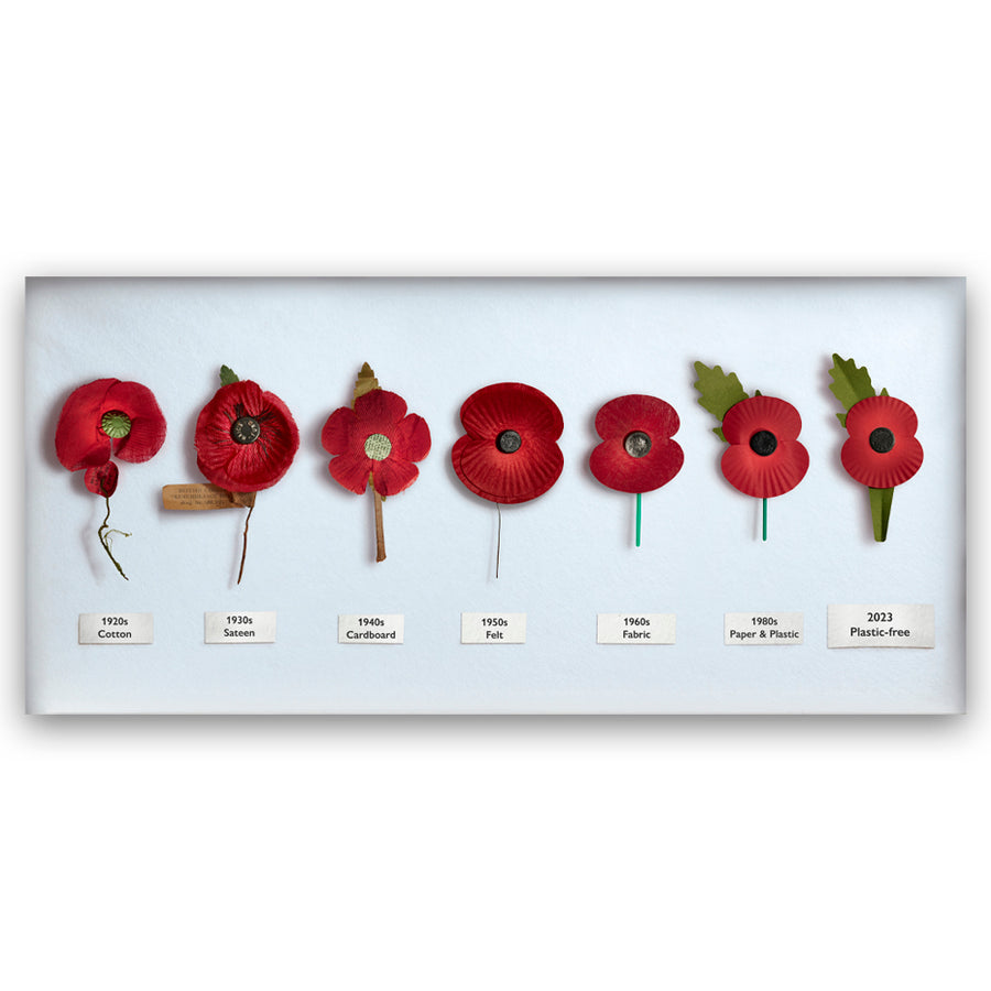 Evolution of the Poppy A3 Print