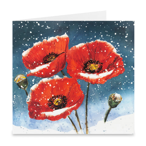 Poppies in the Snow Christmas Cards - Pack of 10