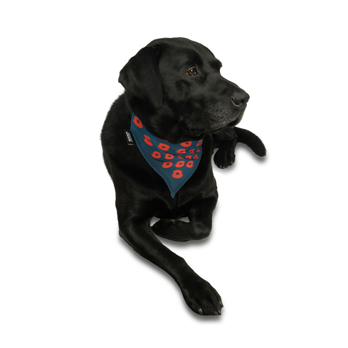 Poppy Pet Bandana