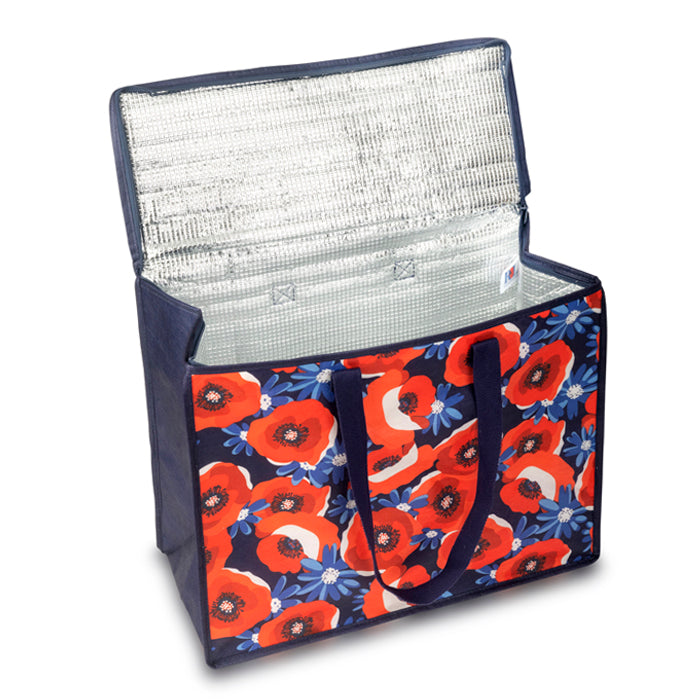 Cooler picnic bag hot sale