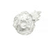 Raised Poppy and Leaf Glitter Brooch
