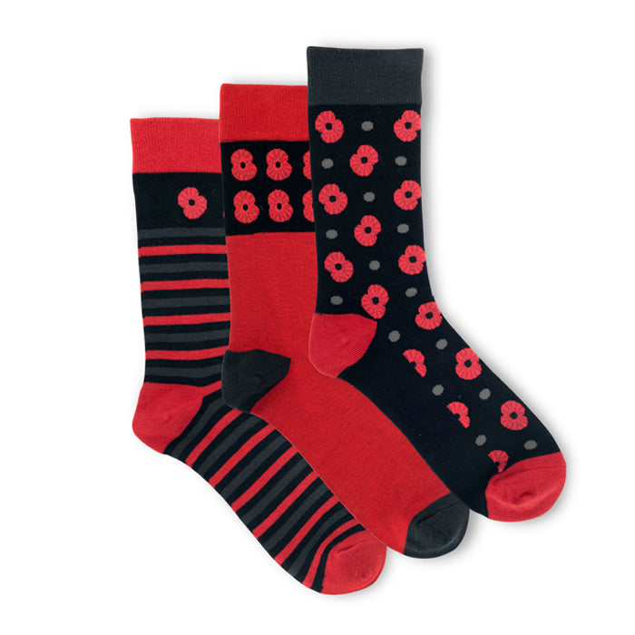 Poppy Stripe Bamboo Sock - Pack of 3