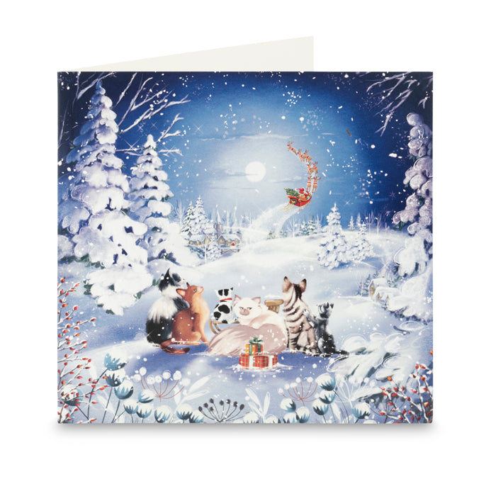 Christmas Cards Bumper Pack #1 - Pack of 40 (4 Designs)
