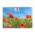 Royal British Legion Official Calendar 2024