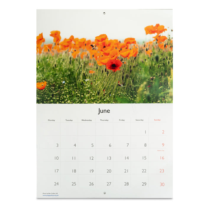 Royal British Legion Official Calendar 2024