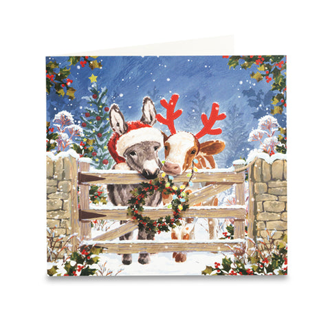 Cattle at Christmas Cards - Pack of 10