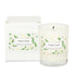 Tahitian Vanilla Gift Boxed Candle