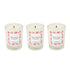 White Woods and Amaryllis Set of 3 Candles