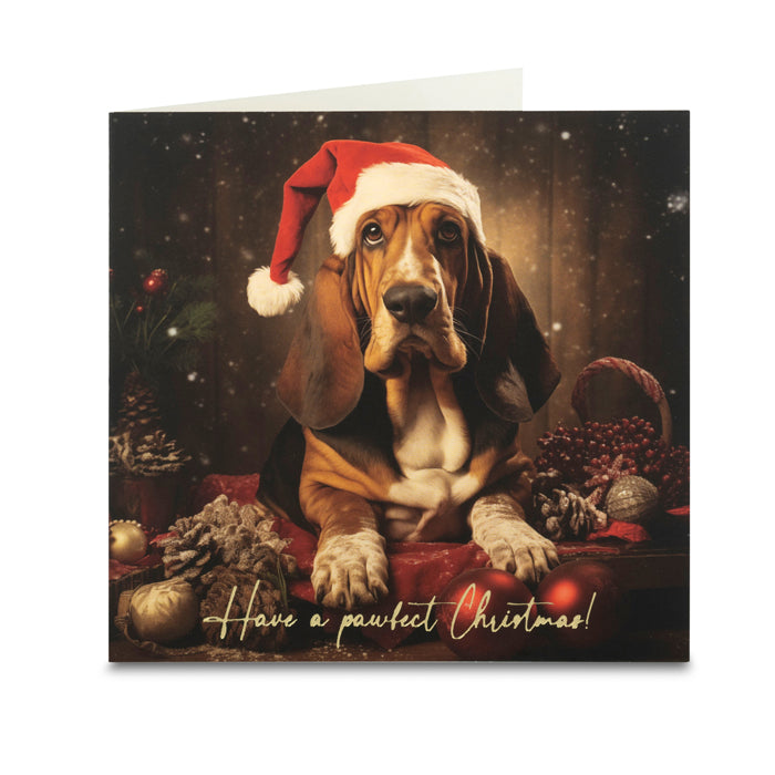 Christmas Card Set - Pack of 40