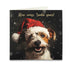 Christmas Card Set - Pack of 40