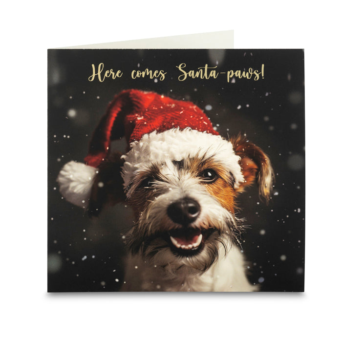 Christmas Card Set - Pack of 40
