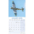 Spitfires Wall Calendar 2026