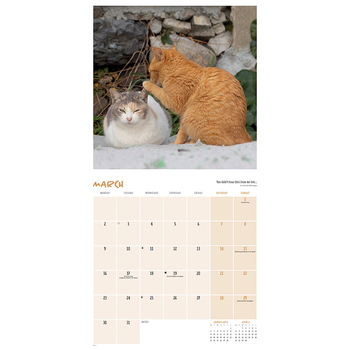 Comedy Pet Awards Wall Calendar 2026