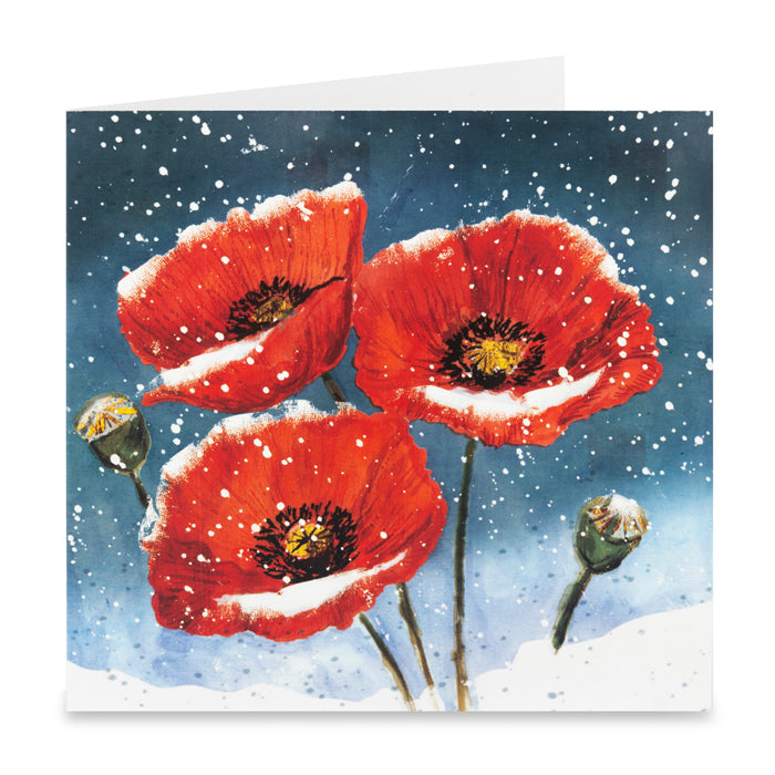 Poppies in the Snow Christmas Cards - Pack of 10