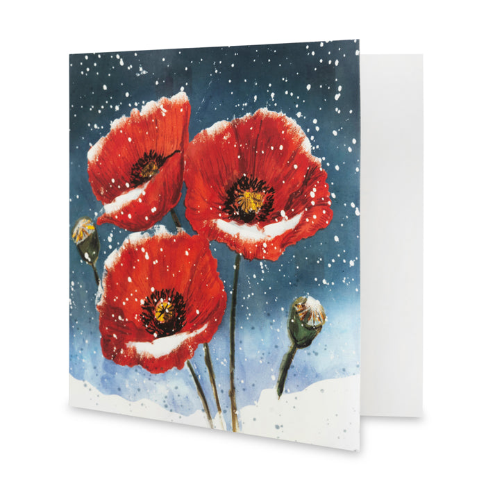 Poppies in the Snow Christmas Cards - Pack of 10