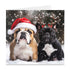 A Pawfect Christmas Cards - Pack of 10