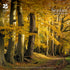 National Trust Seasons Wall Calendar 2027