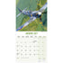 Spitfires Wall Calendar 2027