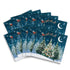 Santa on Christmas Eve Christmas Cards - Pack of 10