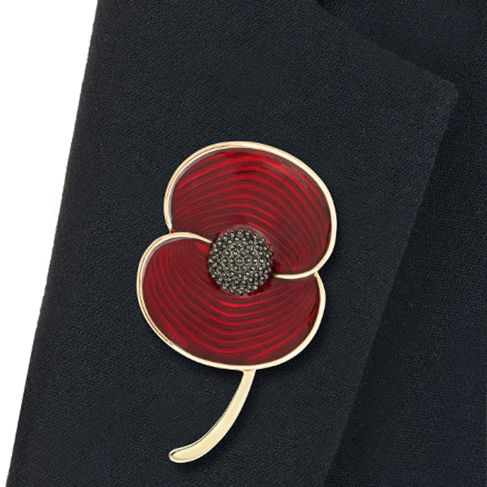 Poppy day brooches deals