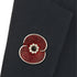 Poppy Crystal Brooch