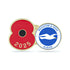 Brighton & Hove Albion Poppy Football Pin 2025