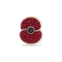 Pave Poppy Pin with Jet Centre