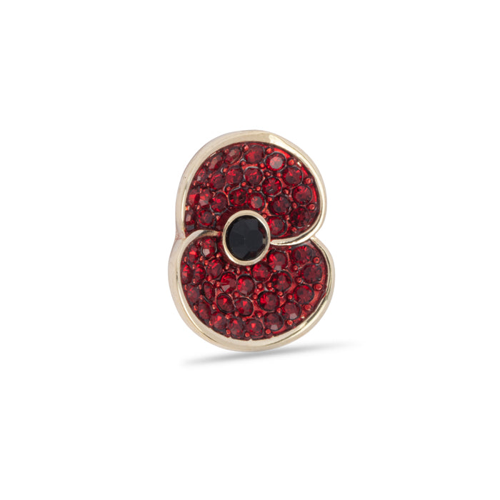 Pave Poppy Pin with Jet Centre