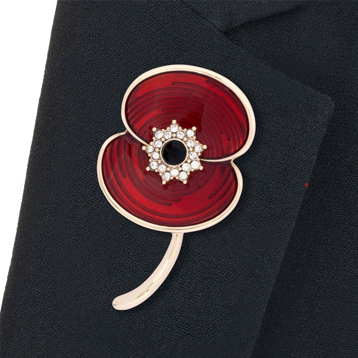 Ripple Crystal Jet Centre Poppy Brooch