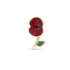 Ripple Poppy Jet Centre Pin