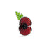 Sunburst Poppy with Leaf Brooch