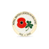 ROI Centenary Pin