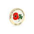 ROI Centenary Pin