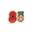 Wrexham AFC Poppy Football Pin 2026