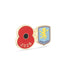 Aston Villa Poppy Football Pin 2026