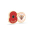 Blackpool Poppy Football Pin 2026
