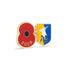 Mansfield Town Poppy Football Pin 2026