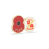 Swindon Town Poppy Football Pin 2026