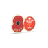 Welsh Rugby Union Poppy Rugby Pin 2026
