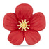 Poppy with Gold Centre Large Brooch