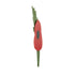 Plastic-Free Paper Poppy - £10