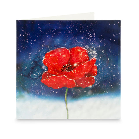Poppies in the Snow Christmas Cards